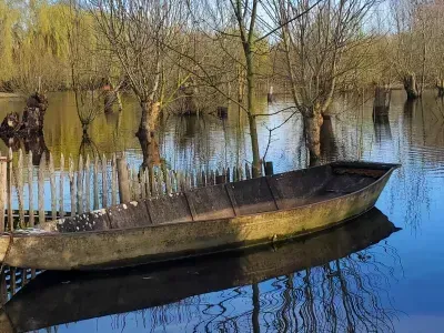 marais poitevin (2)
