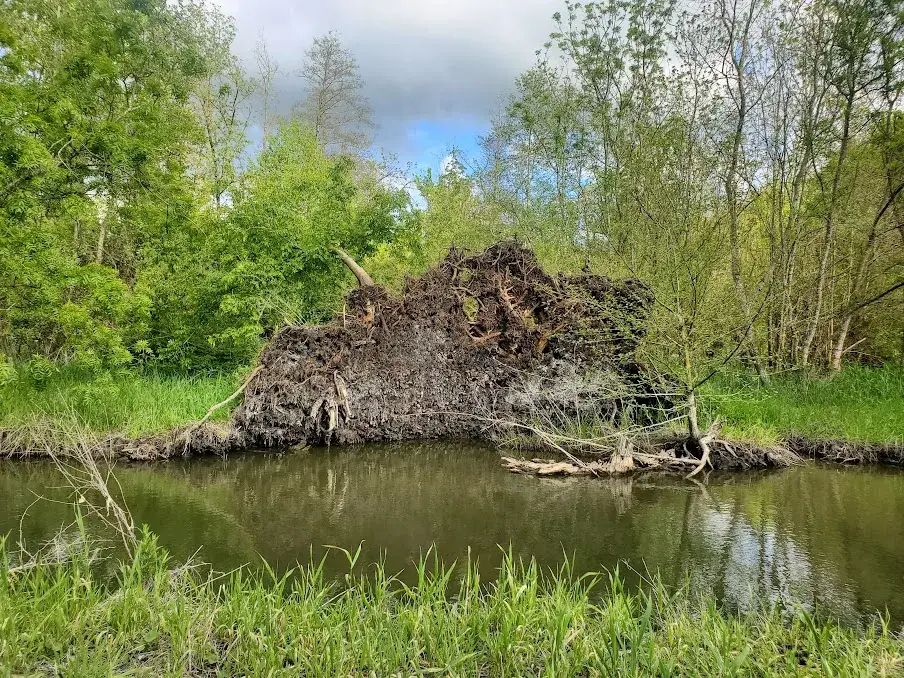 autour du gite (11)