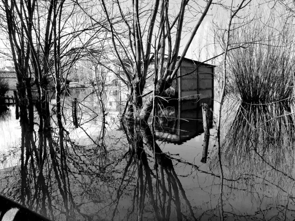 autour du gite (2)