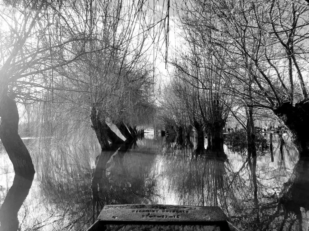 autour du gite (4)