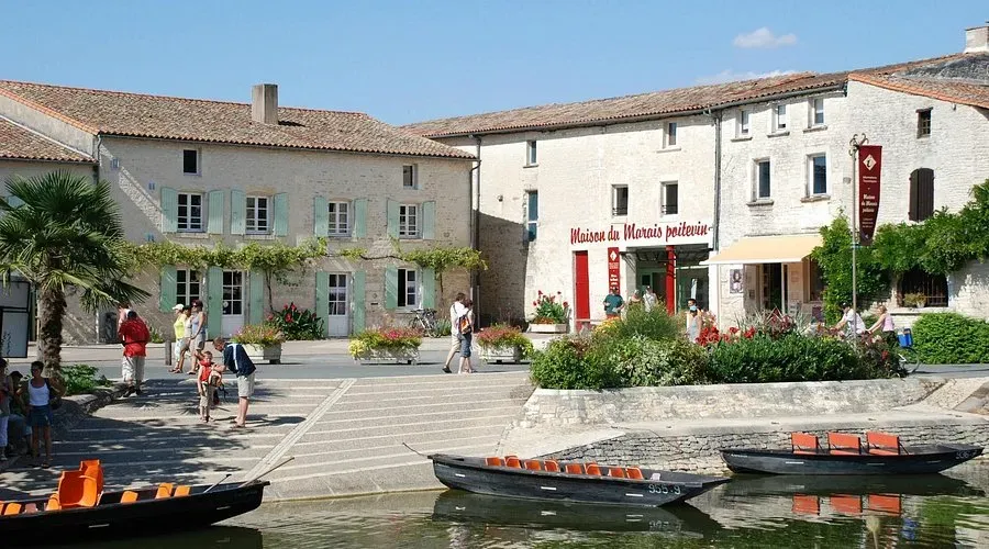 autour (3)