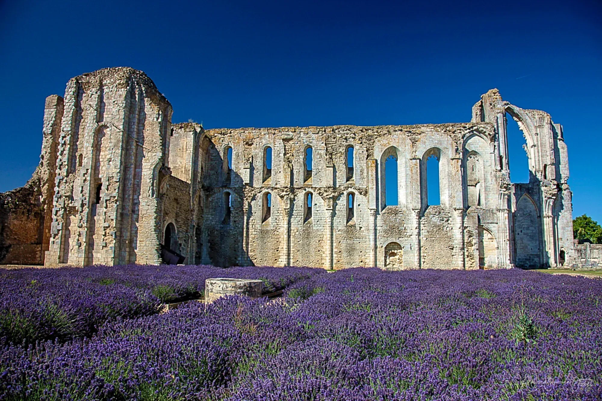 abbaye-de-maillezais-IMG_4511