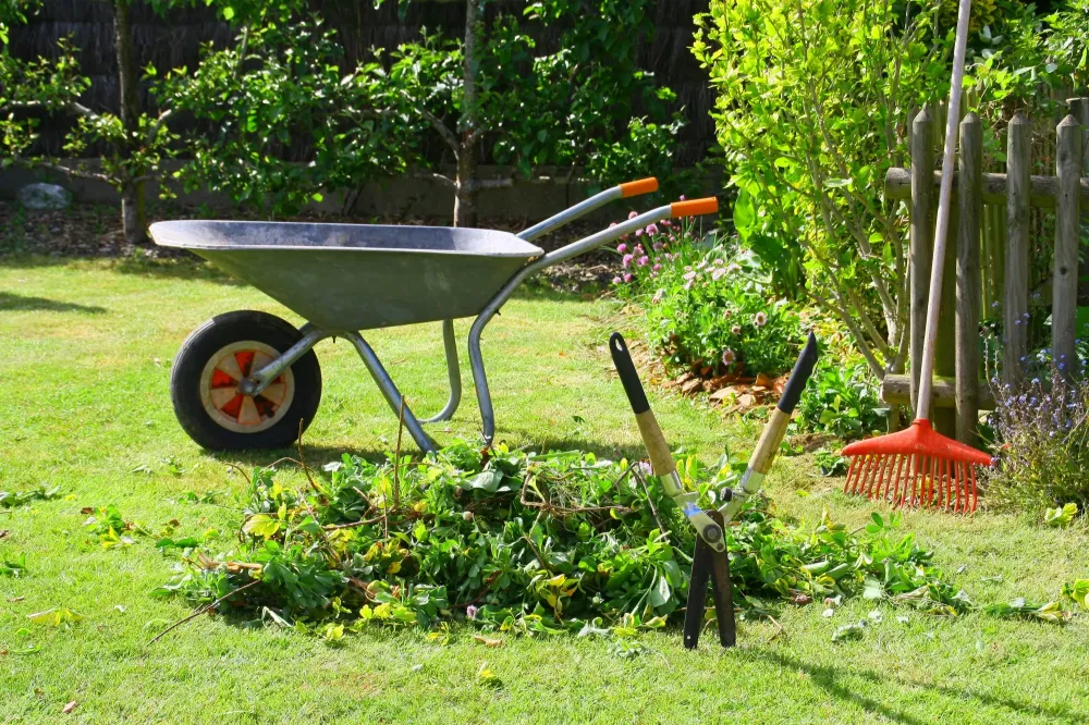 jardin
