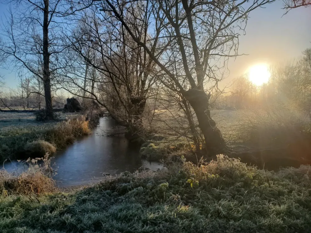 marais hiver;